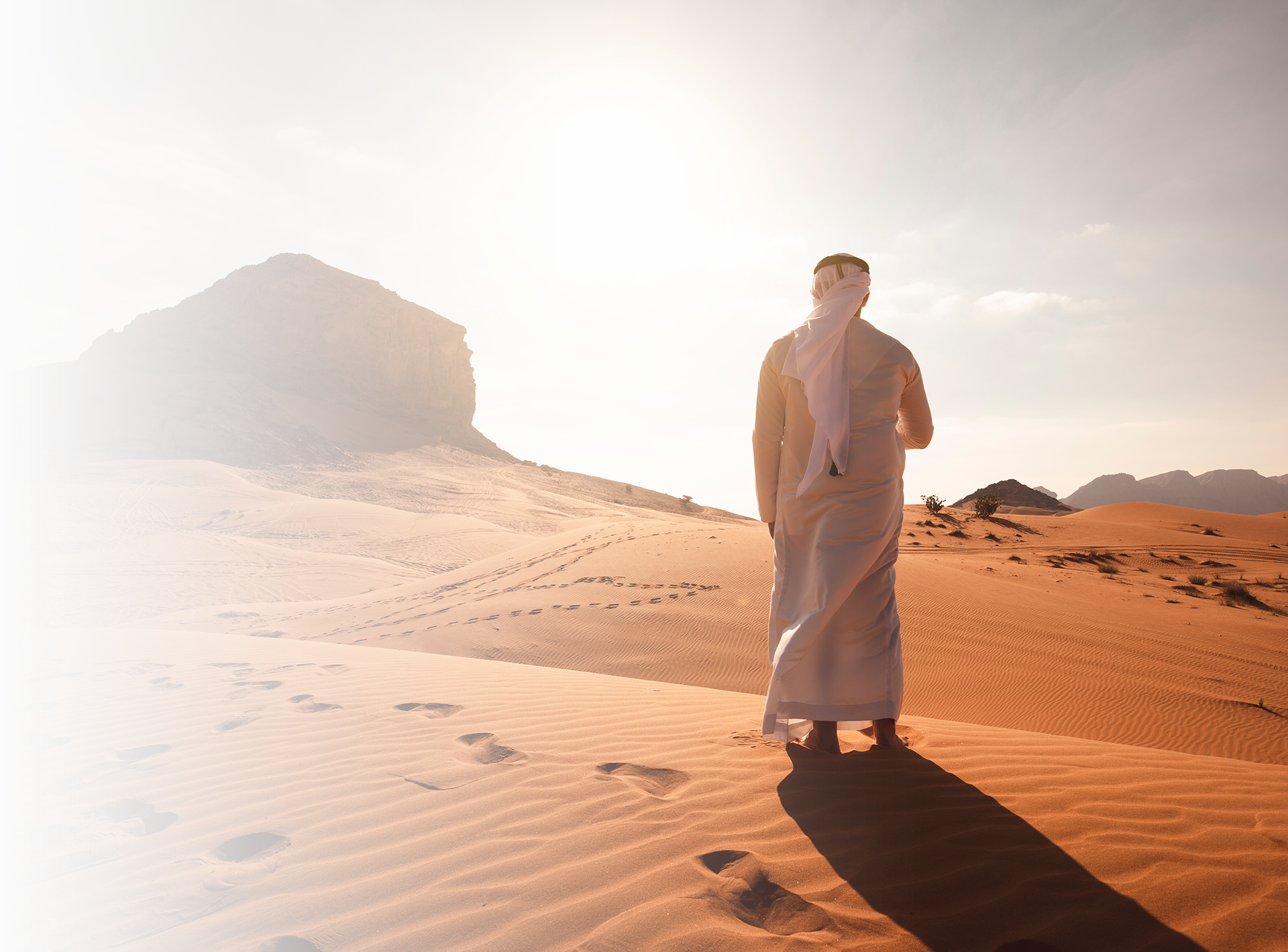obtain your emirates id with wwfl dubai